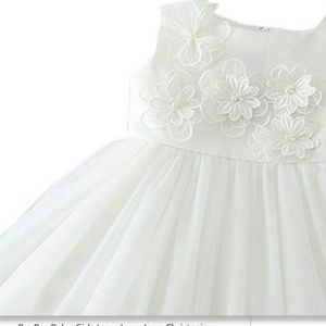 Newborn Girls Embroidered Flowers Christening Gown